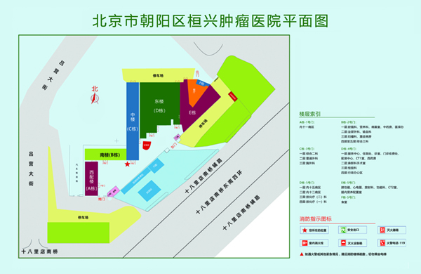 大鸡巴插逼北京市朝阳区桓兴肿瘤医院平面图